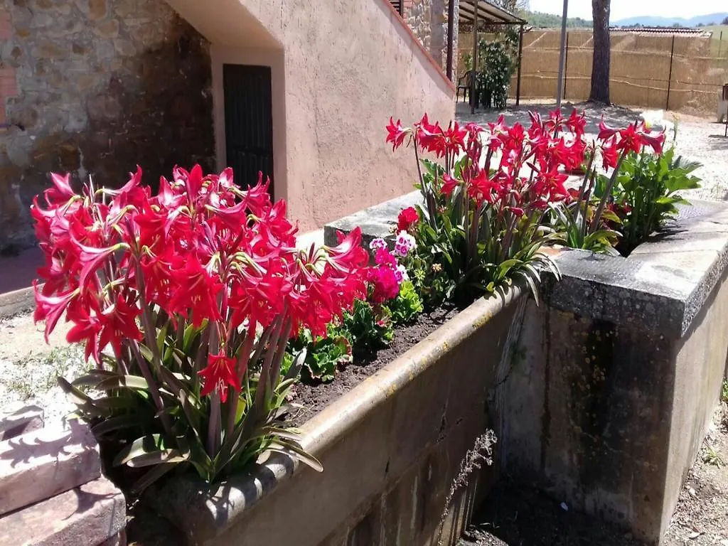 Agriturismo Boschetto Di Montiano Montiano  Italien