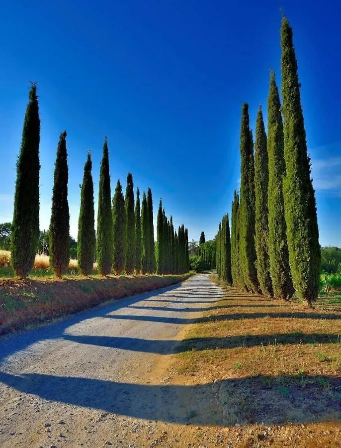 Agriturismo Boschetto Di Montiano Montiano