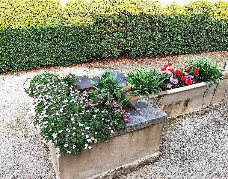 Agriturismo Boschetto Di Montiano Montiano  Montiano (Tuscany)