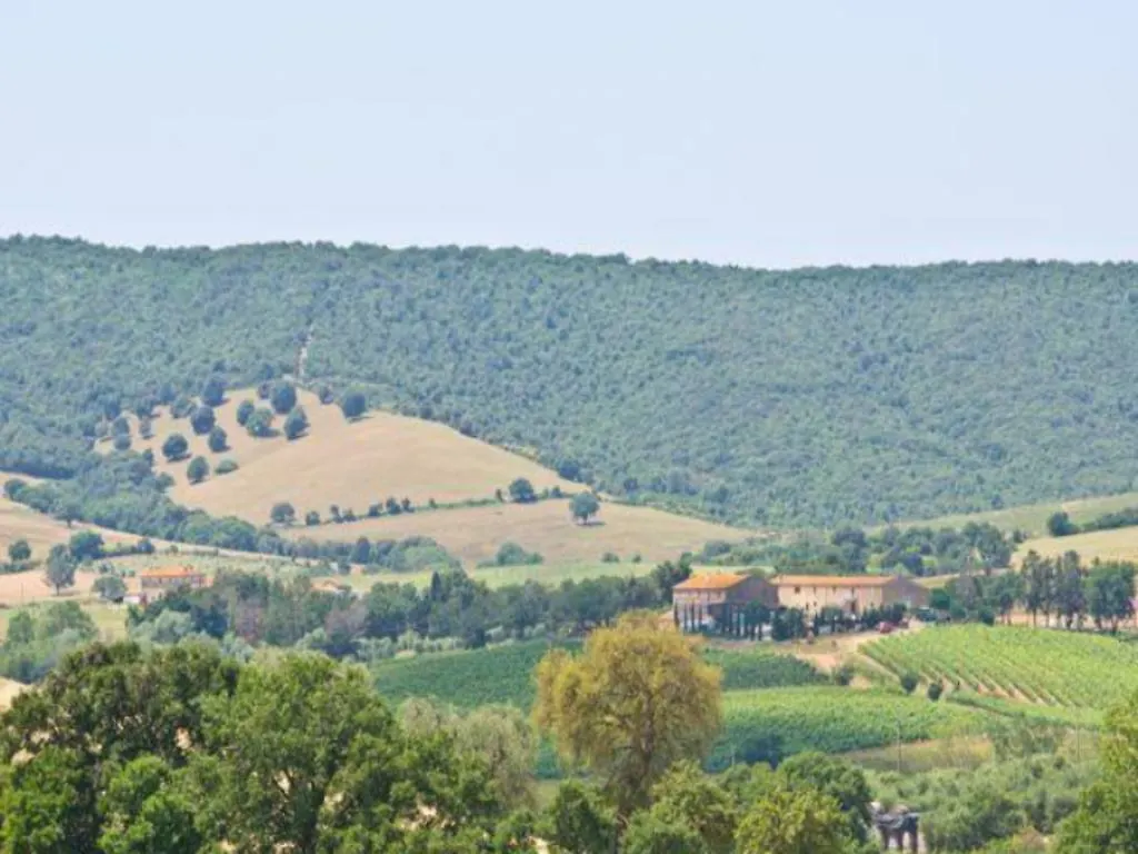 Agriturismo Boschetto Di Montiano Montiano  0*, Montiano (Tuscany)