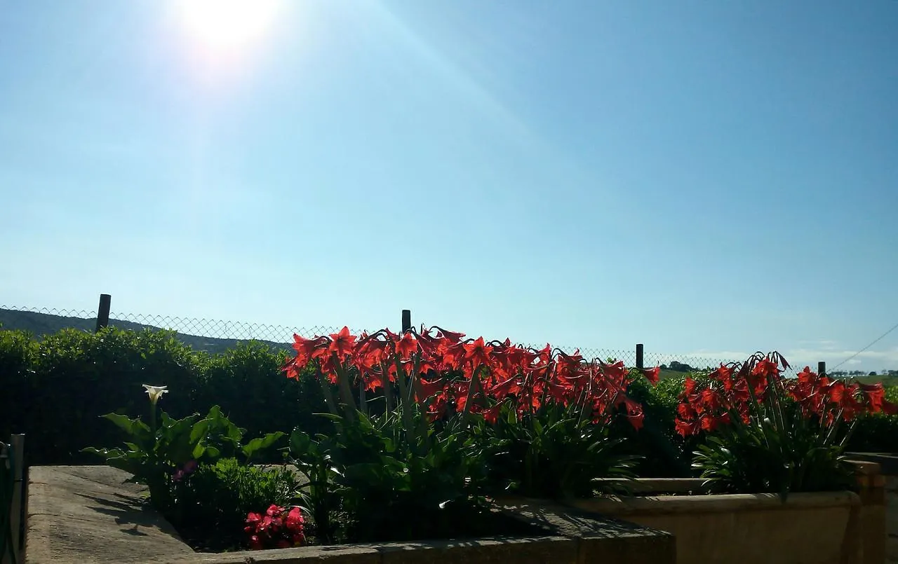 Agriturismo Boschetto Di Montiano Montiano  Montiano (Tuscany)