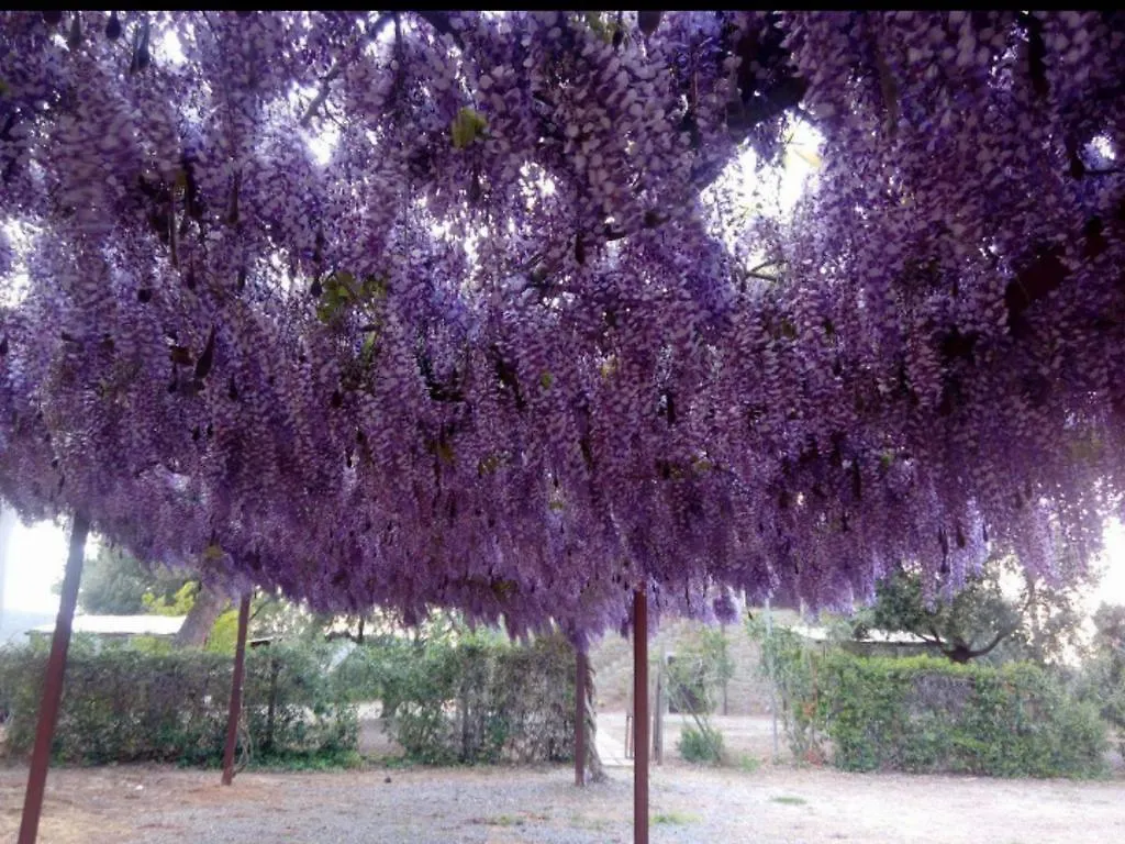 Bauernhof Agriturismo Boschetto Di Montiano Montiano